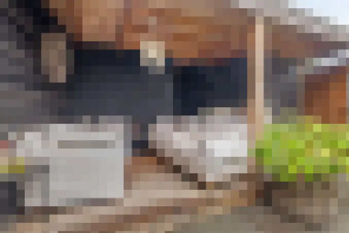 Willem de Zwijgerstraat 23 Eindhoven thumbnail 44