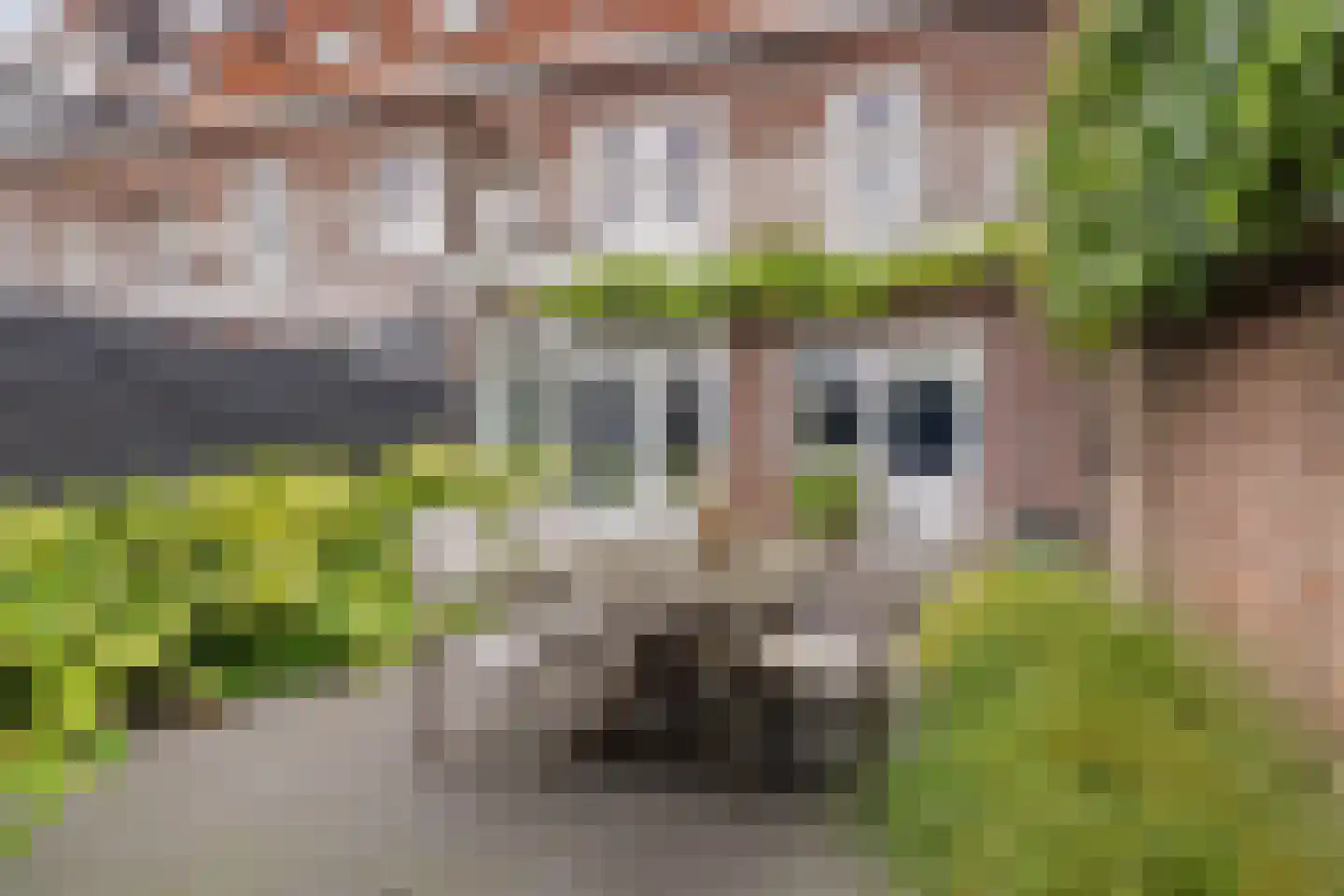 Willem de Zwijgerstraat 23 Eindhoven thumbnail 46