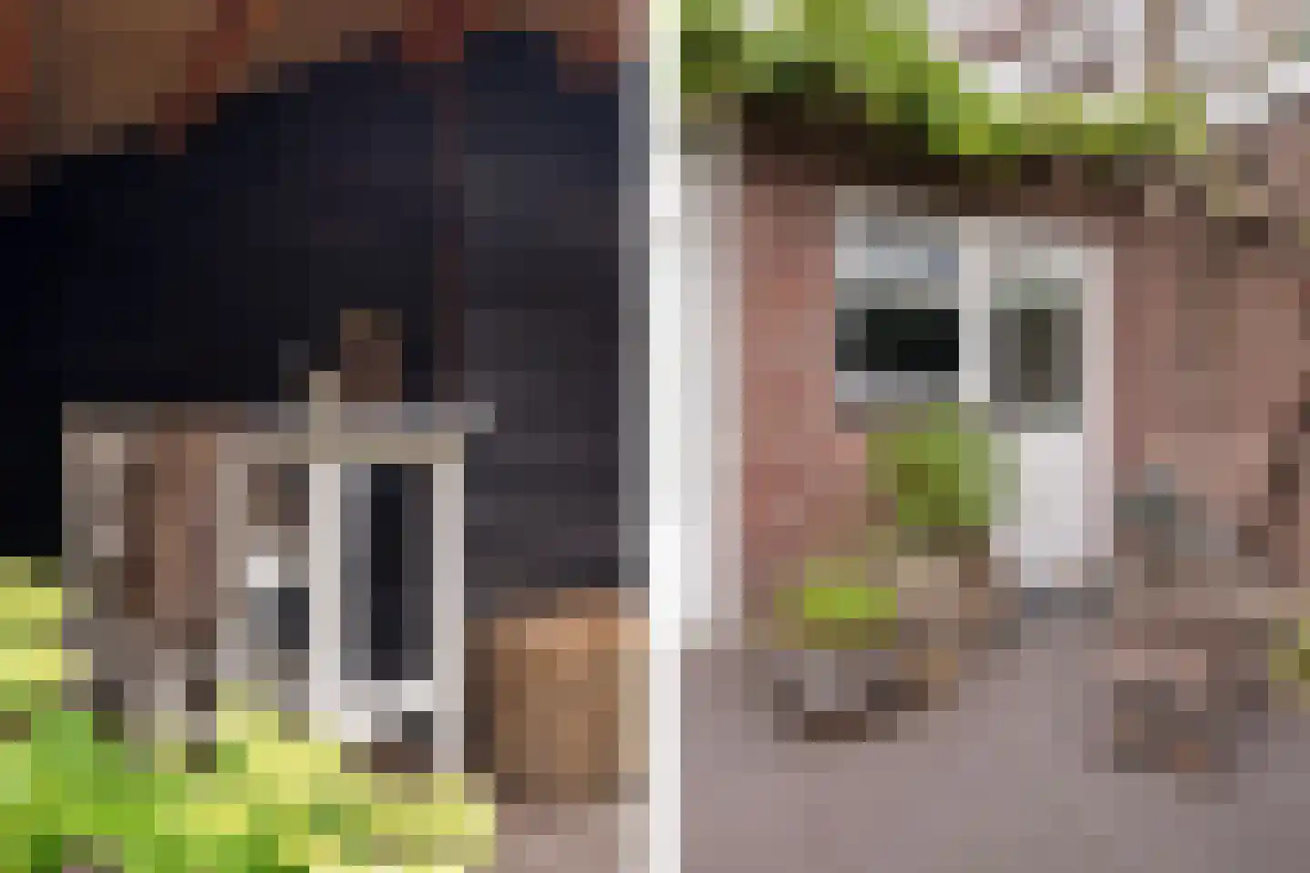Willem de Zwijgerstraat 23 Eindhoven thumbnail 47