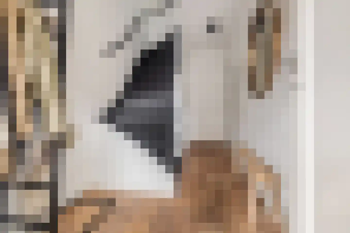 Willem de Zwijgerstraat 23 Eindhoven thumbnail 7