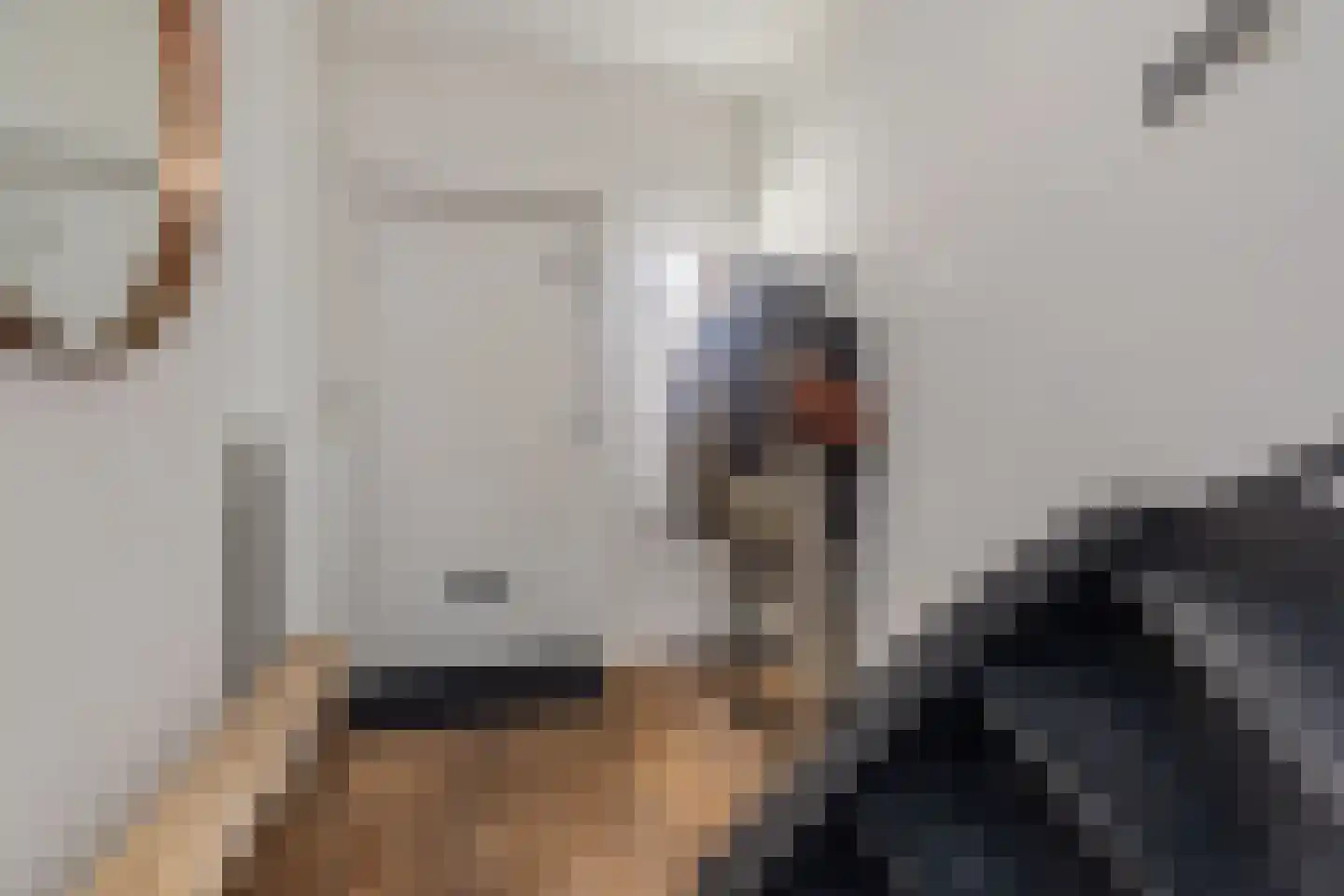 Willem de Zwijgerstraat 23 Eindhoven thumbnail 8