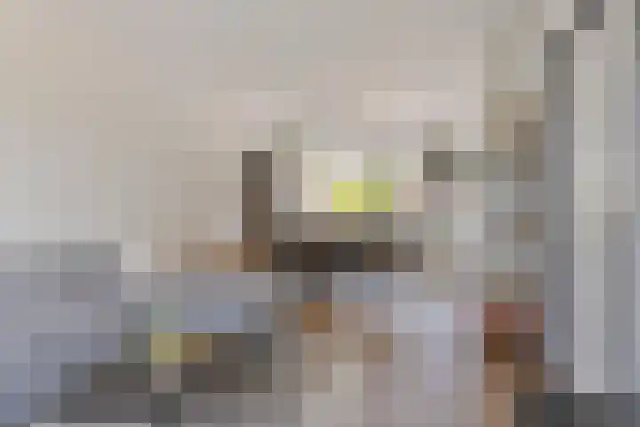 Willem de Zwijgerstraat 23 Elst thumbnail 10
