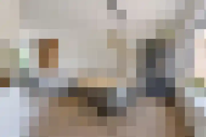 Willem de Zwijgerstraat 23 Elst thumbnail 11