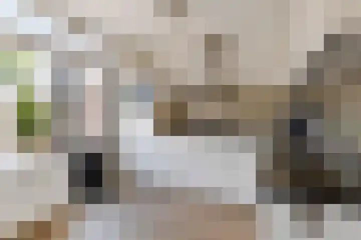 Willem de Zwijgerstraat 23 Elst thumbnail 13