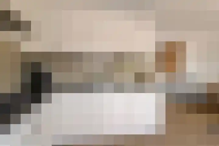 Willem de Zwijgerstraat 23 Elst thumbnail 14