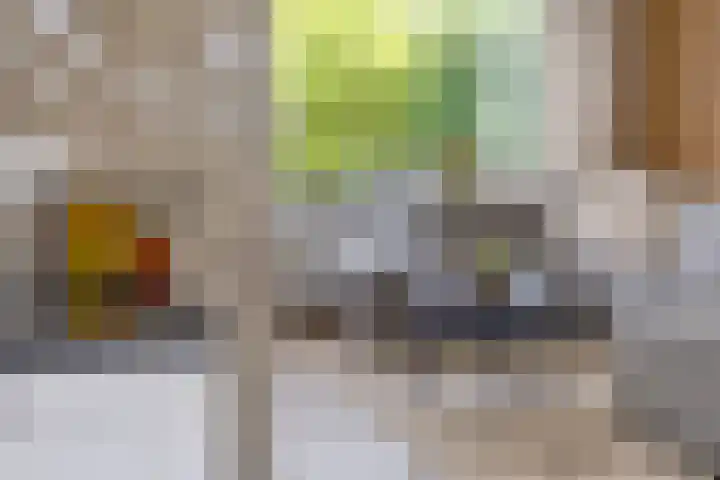 Willem de Zwijgerstraat 23 Elst thumbnail 16