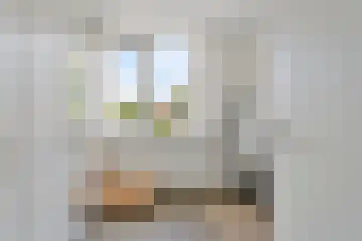 Willem de Zwijgerstraat 23 Elst thumbnail 18