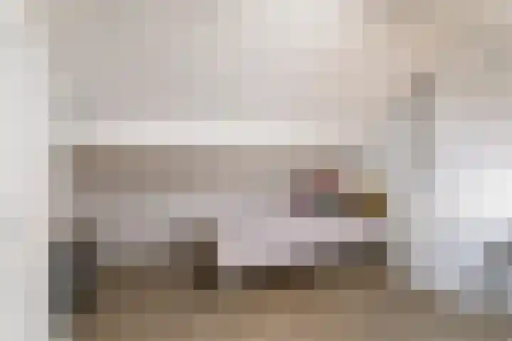 Willem de Zwijgerstraat 23 Elst thumbnail 19