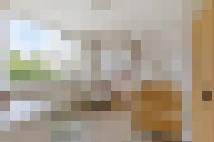Willem de Zwijgerstraat 23 Elst thumbnail 21