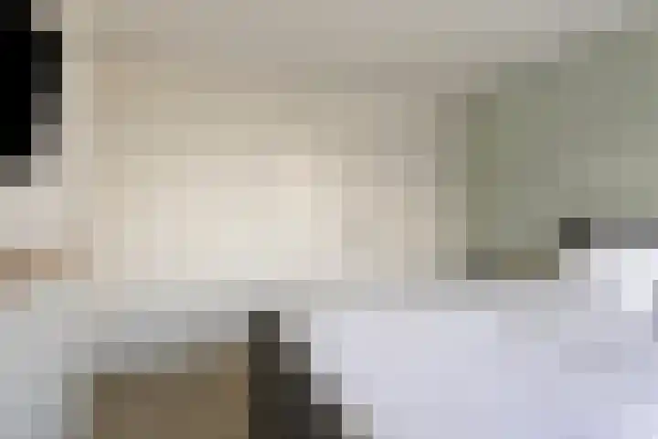 Willem de Zwijgerstraat 23 Elst thumbnail 22