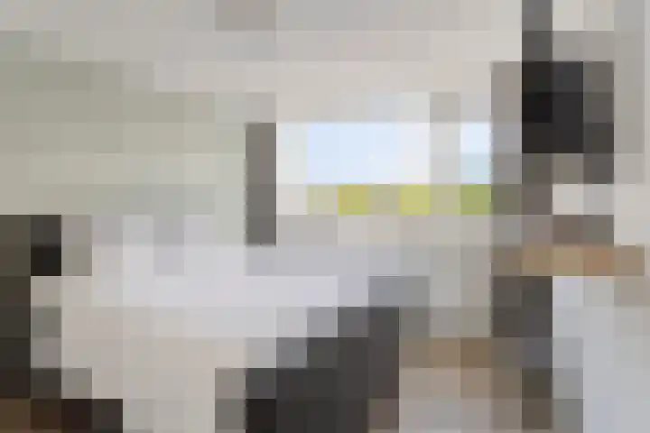 Willem de Zwijgerstraat 23 Elst thumbnail 23