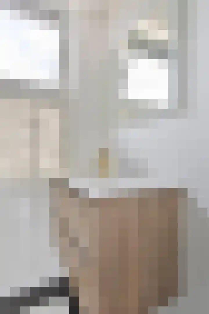 Willem de Zwijgerstraat 23 Elst thumbnail 25