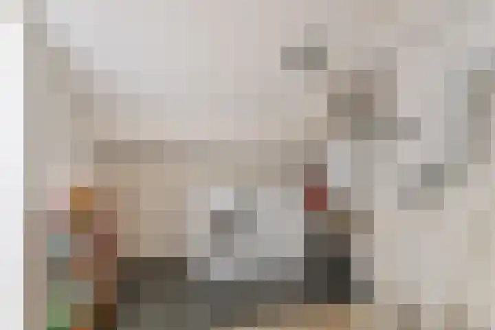 Willem de Zwijgerstraat 23 Elst thumbnail 27
