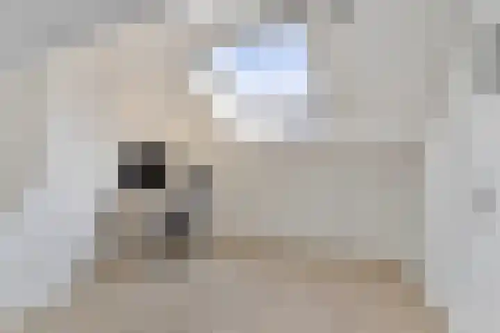 Willem de Zwijgerstraat 23 Elst thumbnail 29