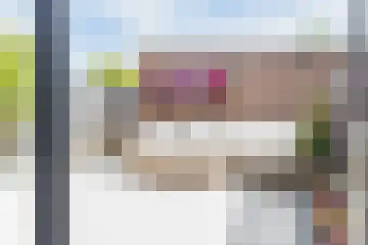 Willem de Zwijgerstraat 23 Elst thumbnail 30