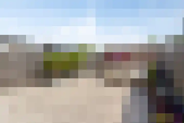 Willem de Zwijgerstraat 23 Elst thumbnail 4