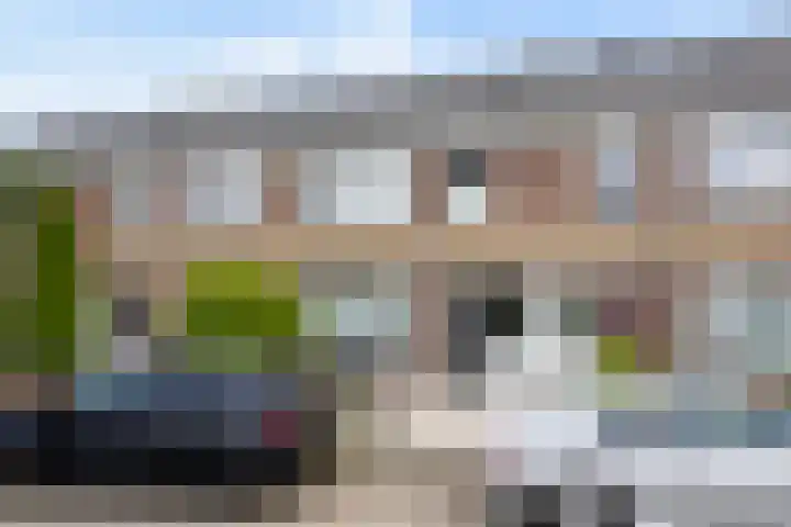 Willem de Zwijgerstraat 23 Elst thumbnail 40