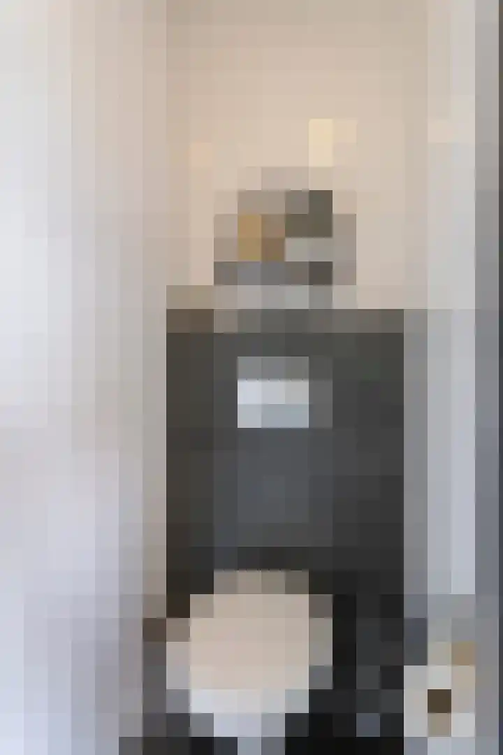 Willem de Zwijgerstraat 23 Elst thumbnail 8