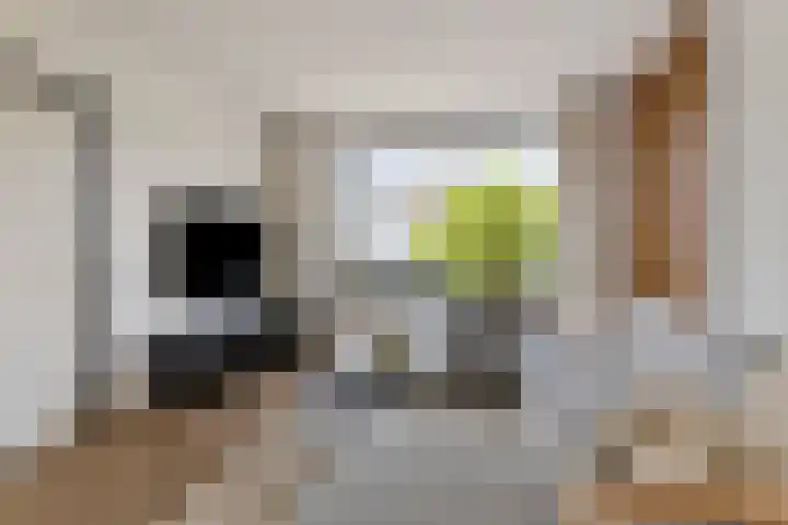 Willem de Zwijgerstraat 23 Elst thumbnail 9