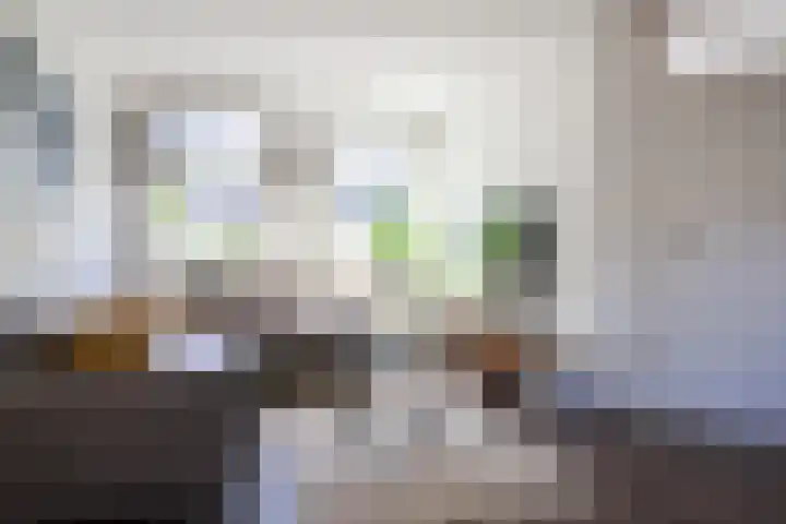 Willem de Zwijgerstraat 23 Sneek thumbnail 10