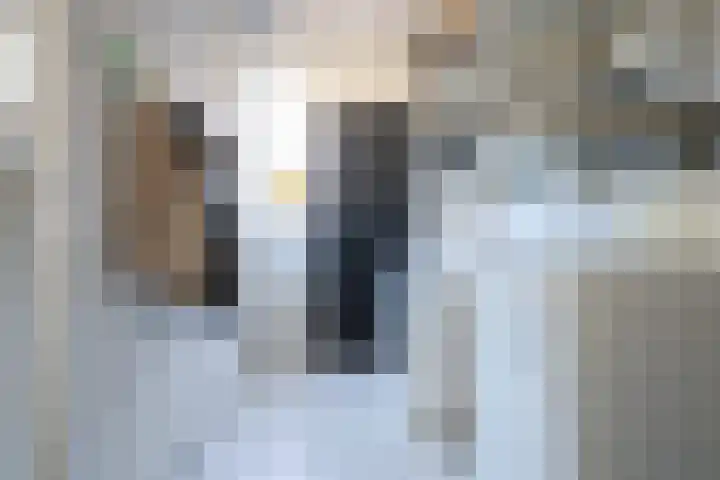Willem de Zwijgerstraat 23 Sneek thumbnail 20