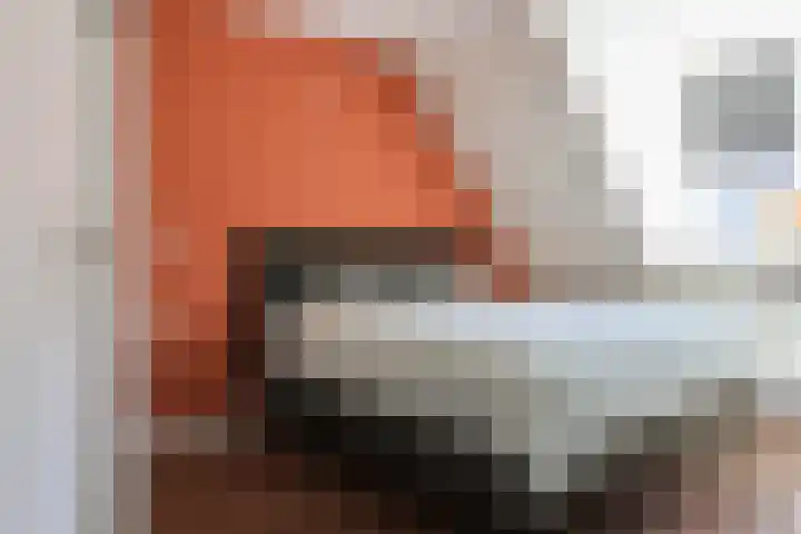 Willem de Zwijgerstraat 23 Sneek thumbnail 25