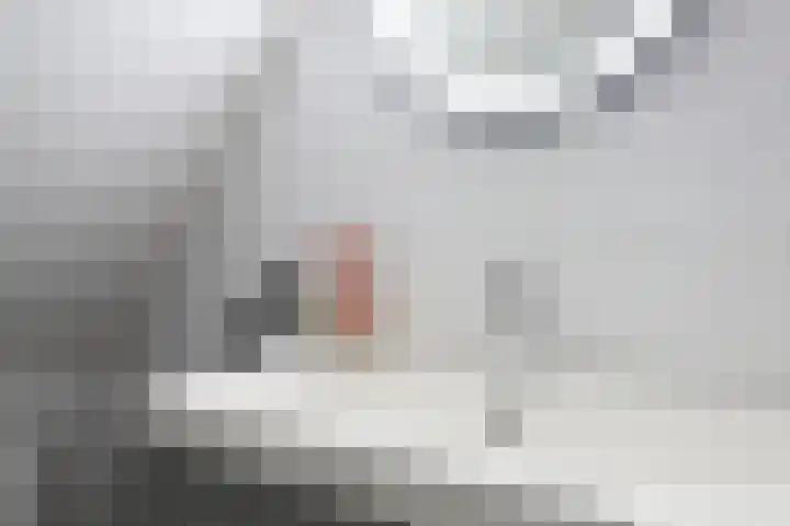 Willem de Zwijgerstraat 23 Sneek thumbnail 33