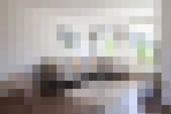 Willem de Zwijgerstraat 23 Sneek thumbnail 8