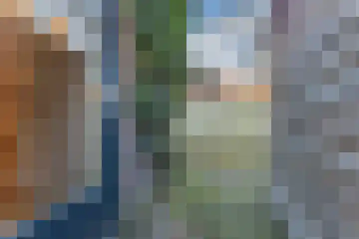 Willem de Zwijgerstraat 28 Eindhoven thumbnail 23