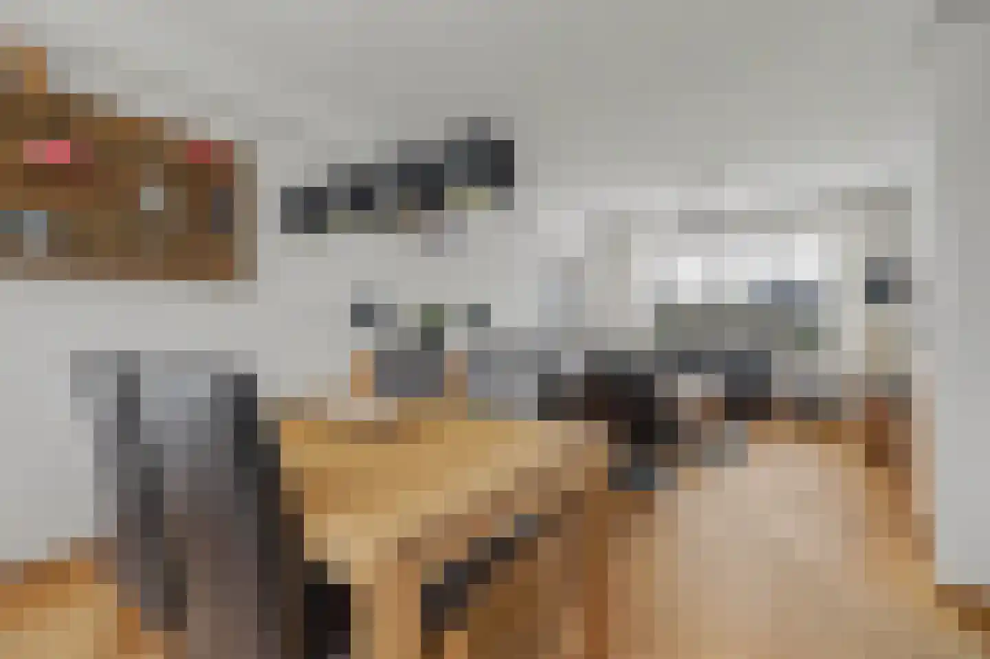 Willem de Zwijgerstraat 29 Elst thumbnail 10