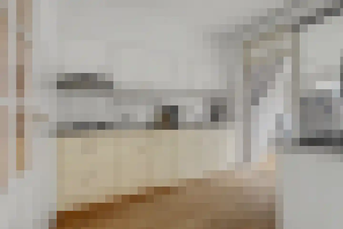 Willem de Zwijgerstraat 29 Elst thumbnail 13
