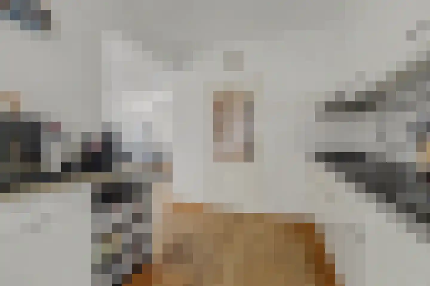 Willem de Zwijgerstraat 29 Elst thumbnail 14