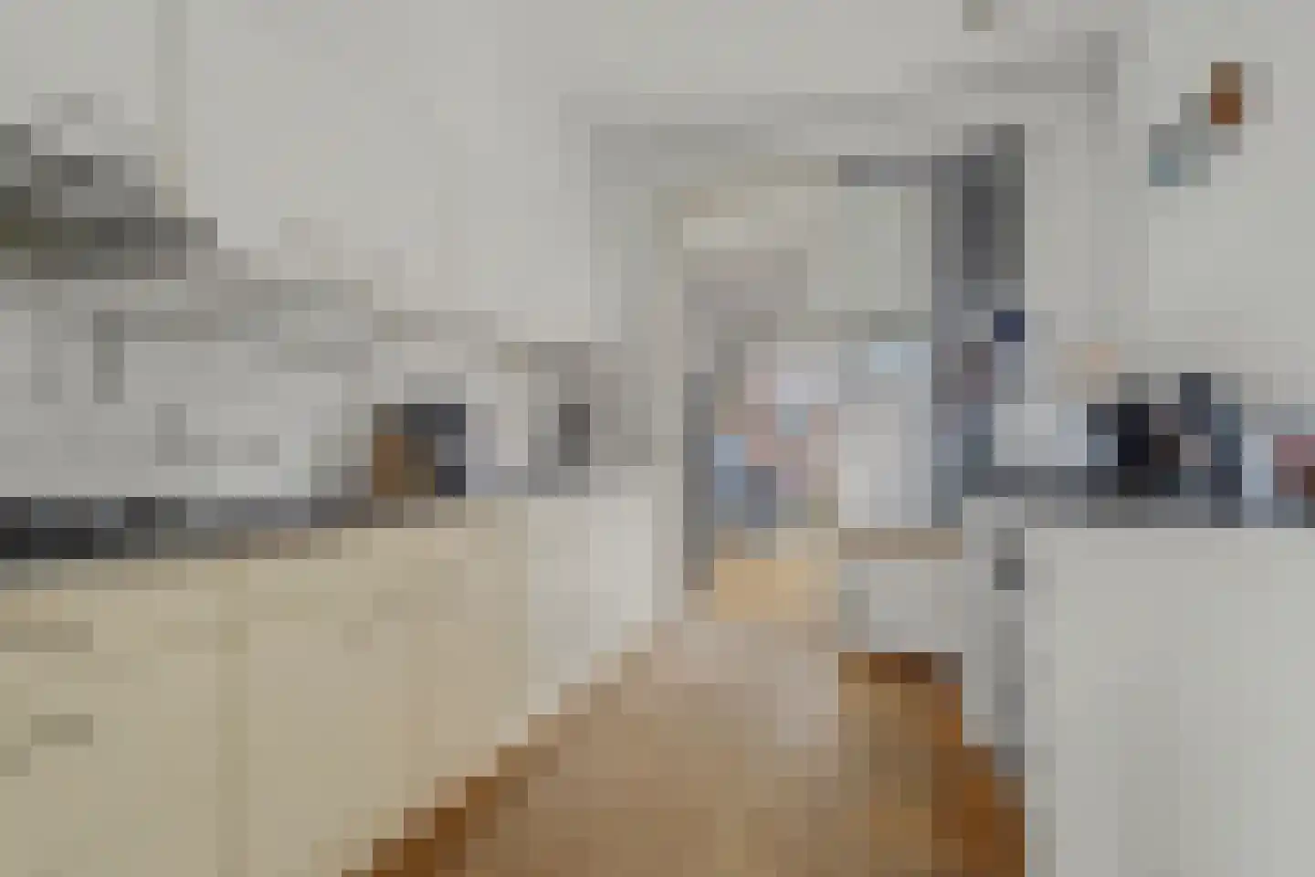 Willem de Zwijgerstraat 29 Elst thumbnail 15
