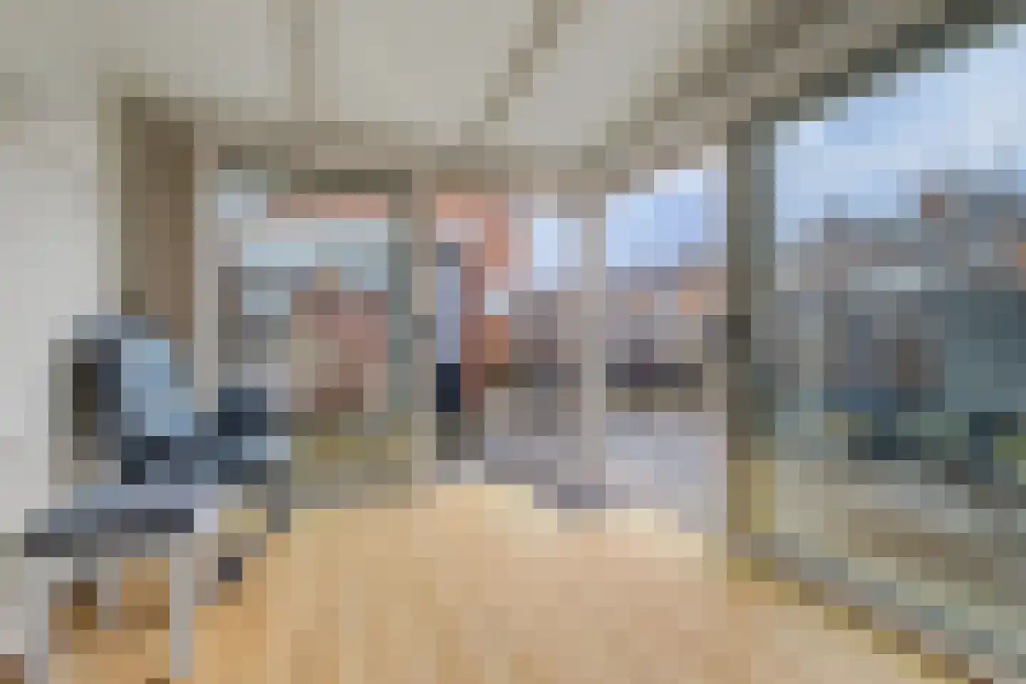 Willem de Zwijgerstraat 29 Elst thumbnail 16