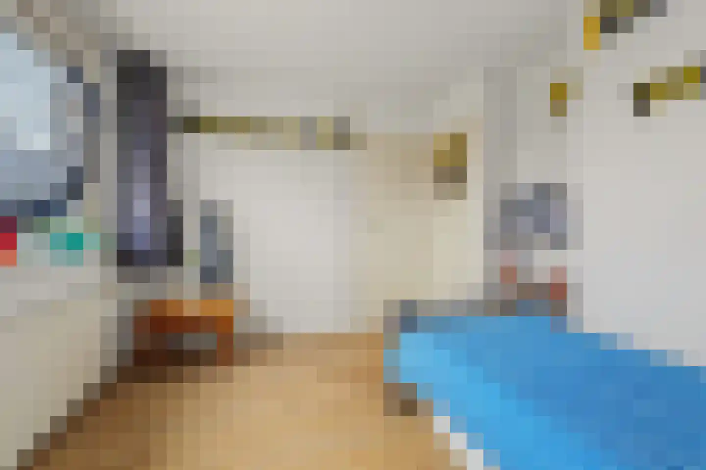 Willem de Zwijgerstraat 29 Elst thumbnail 22