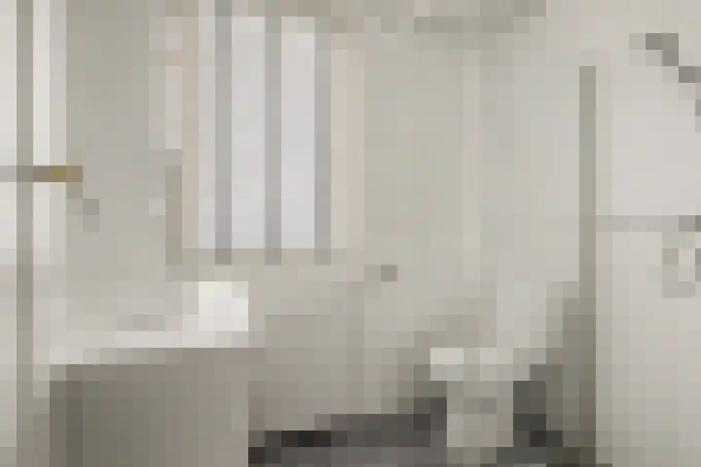 Willem de Zwijgerstraat 29 Elst thumbnail 25