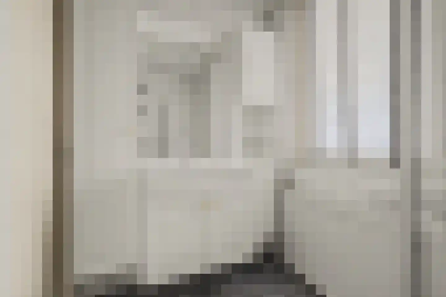 Willem de Zwijgerstraat 29 Elst thumbnail 26