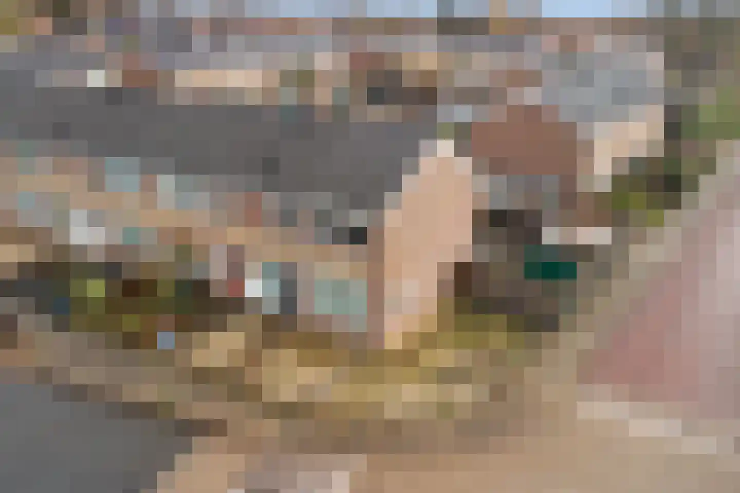 Willem de Zwijgerstraat 29 Elst thumbnail 32