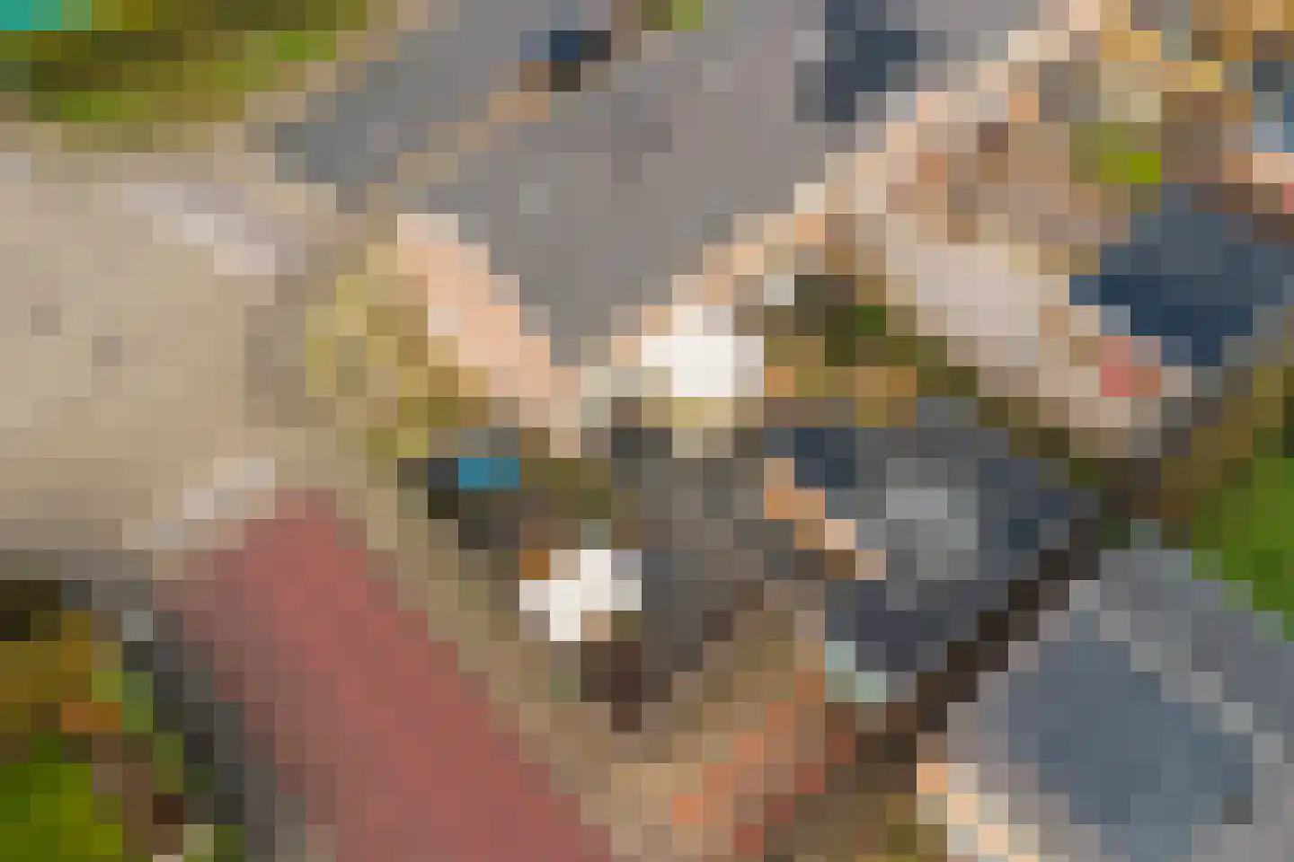 Willem de Zwijgerstraat 29 Elst thumbnail 33