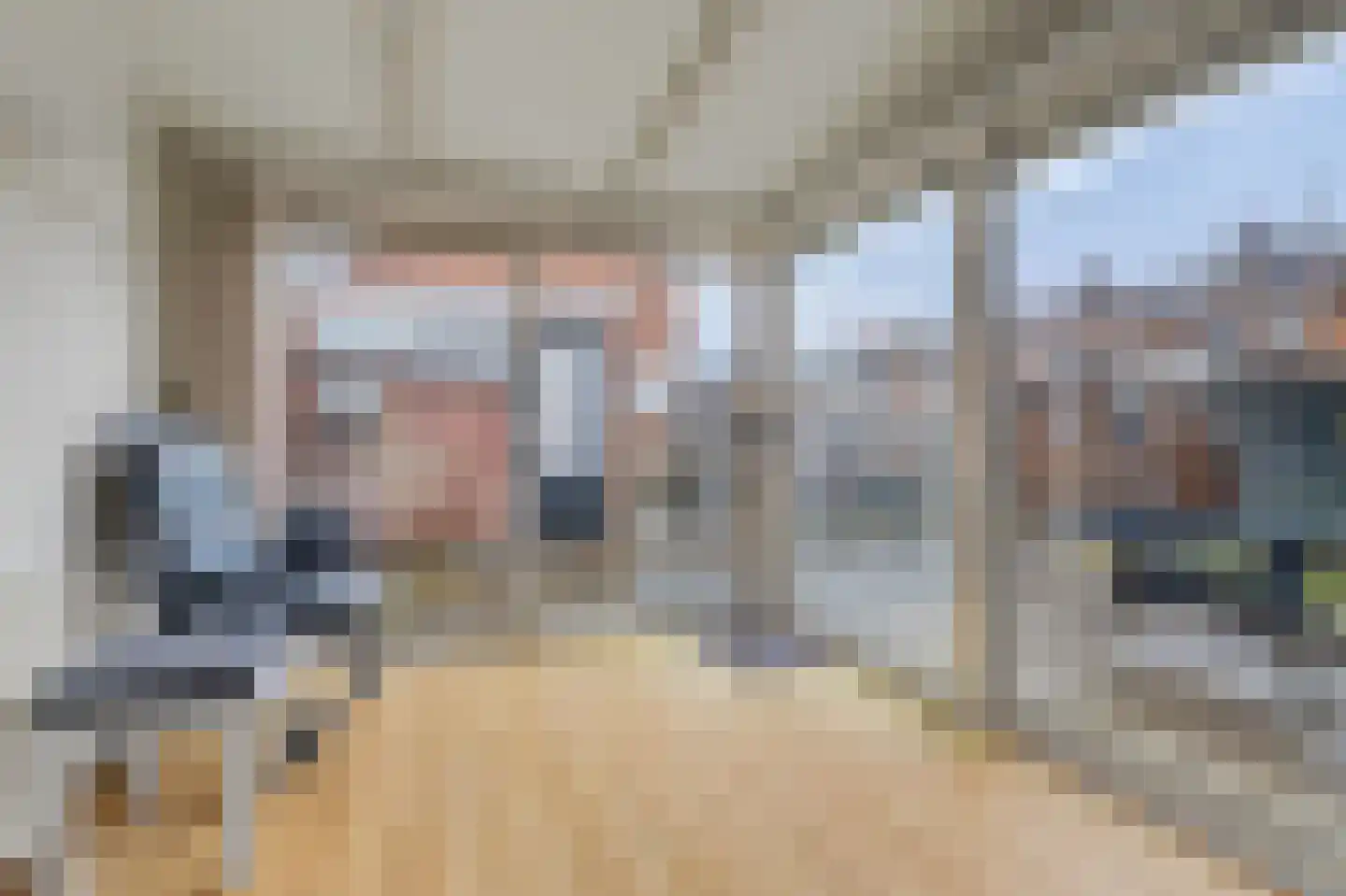 Willem de Zwijgerstraat 29 Elst thumbnail 4