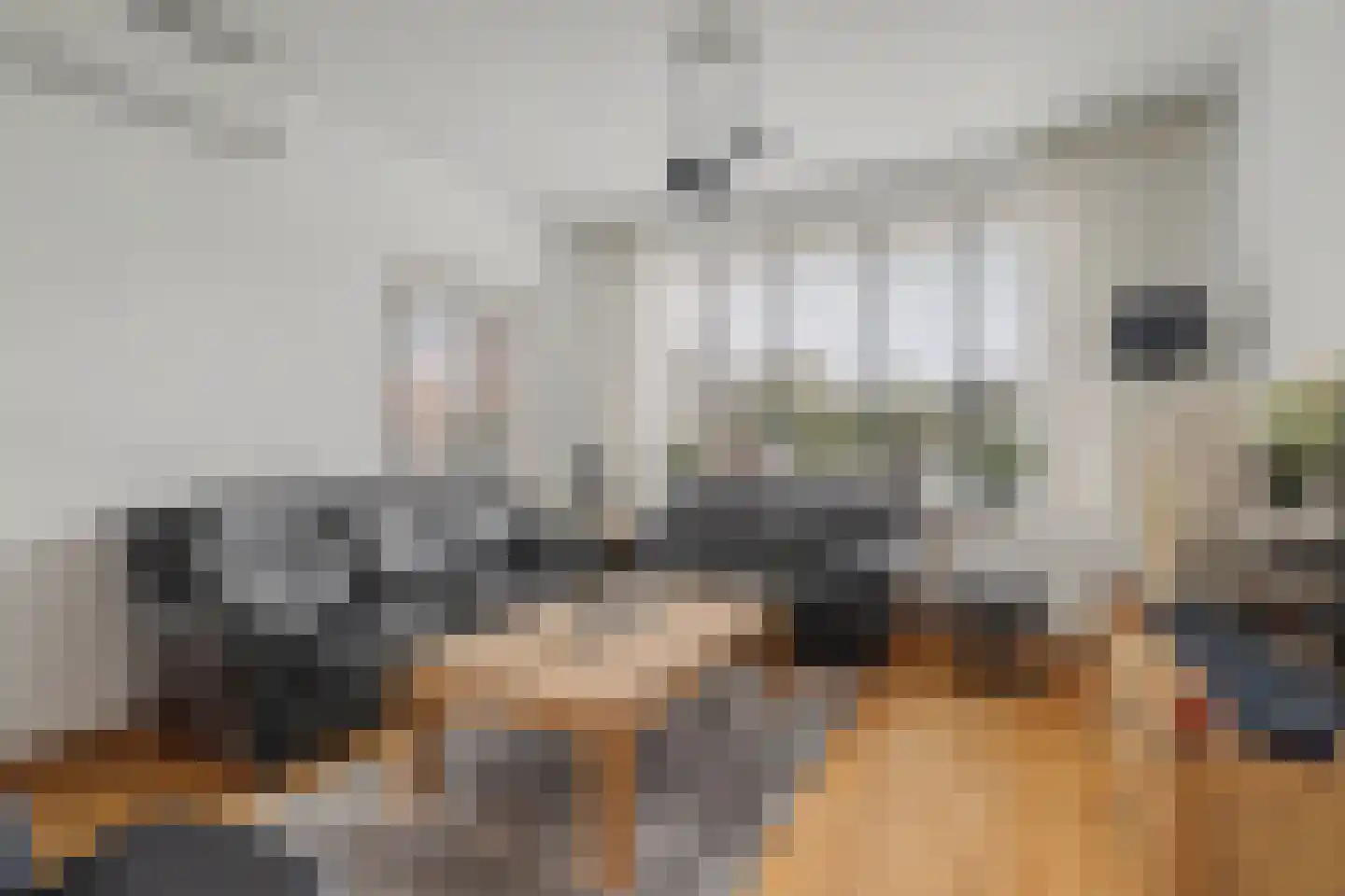 Willem de Zwijgerstraat 29 Elst thumbnail 7