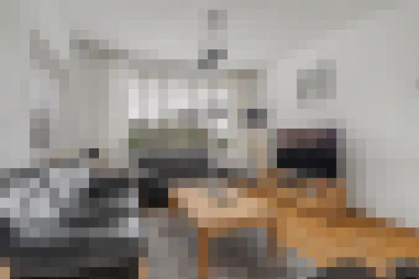 Willem de Zwijgerstraat 29 Elst thumbnail 8