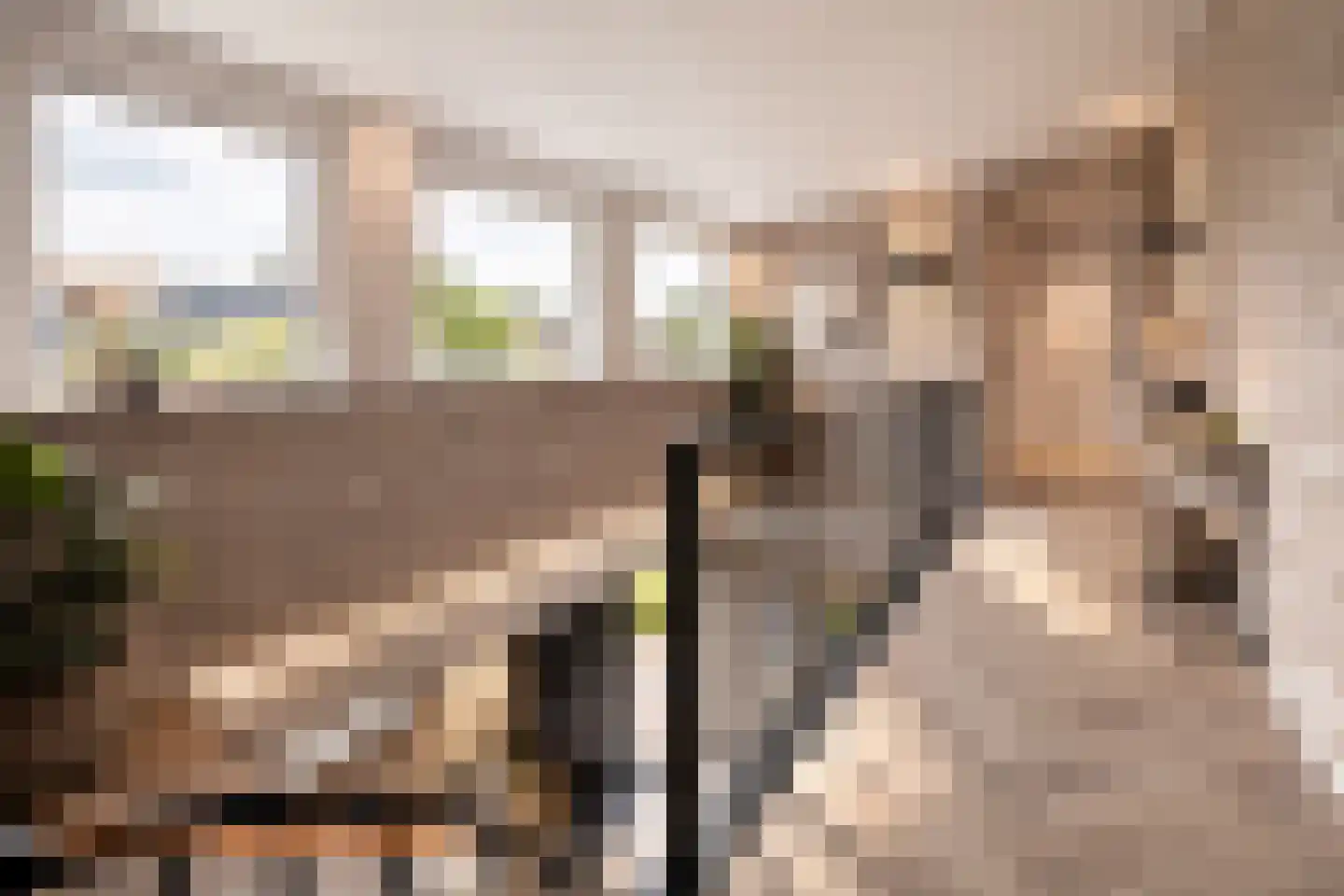 Willem de Zwijgerstraat 3 Noord-Scharwoude thumbnail 8