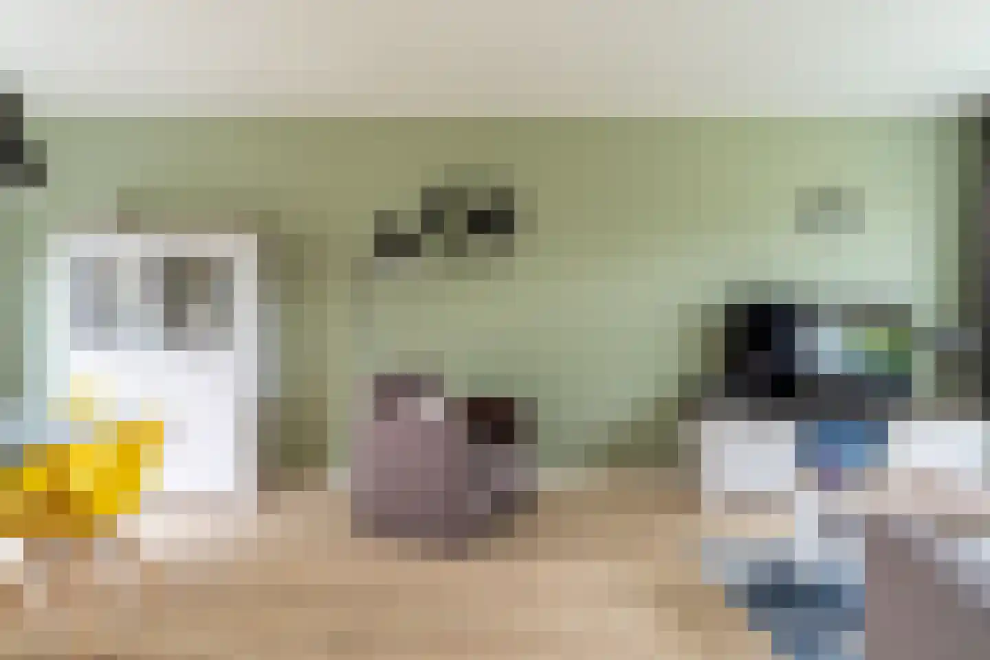 Willem de Zwijgerstraat 3 Sprang-Capelle thumbnail 11