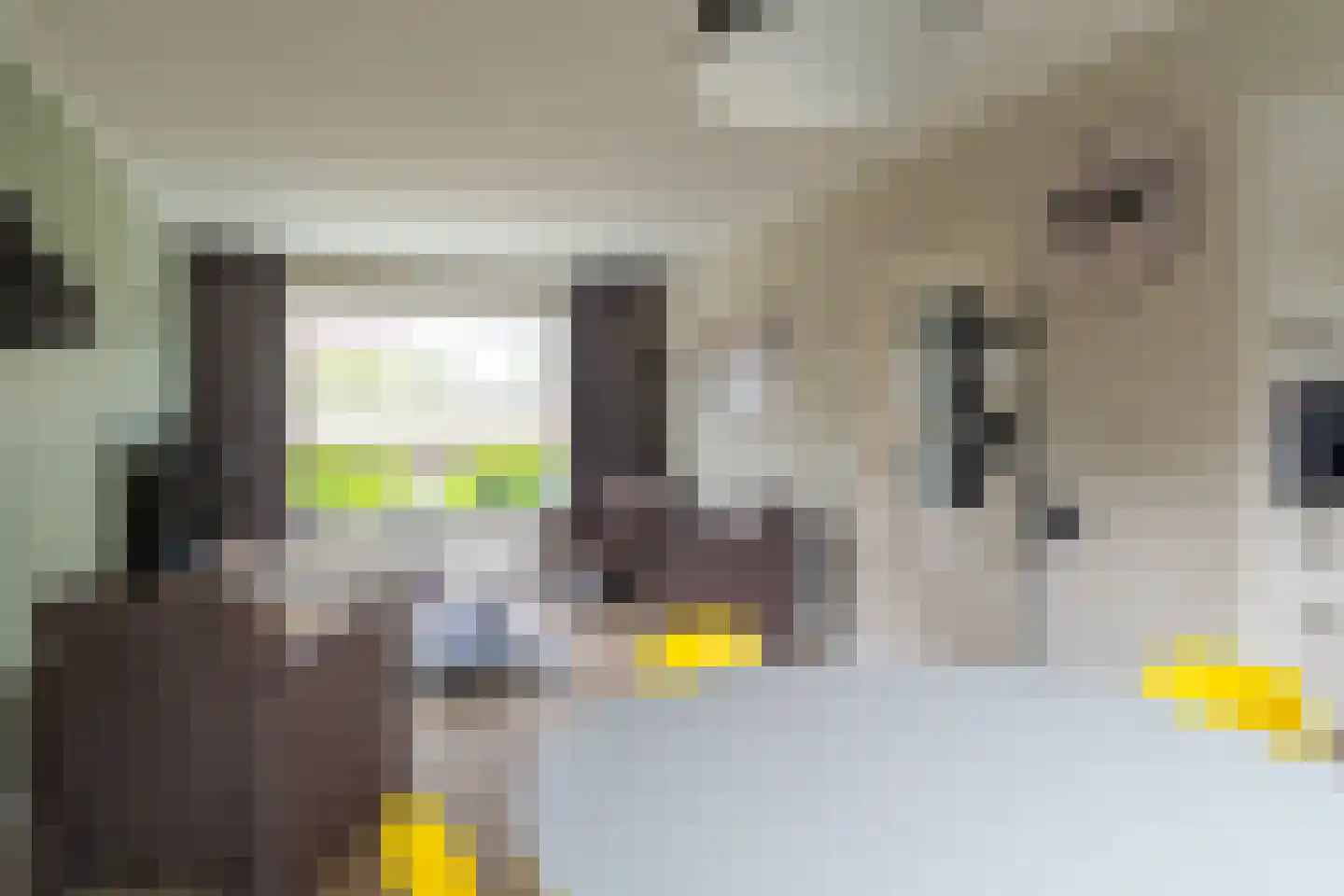 Willem de Zwijgerstraat 3 Sprang-Capelle thumbnail 12