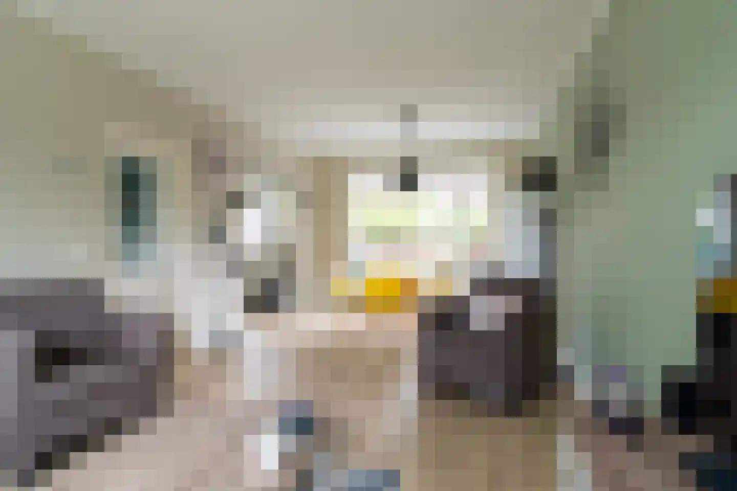 Willem de Zwijgerstraat 3 Sprang-Capelle thumbnail 13
