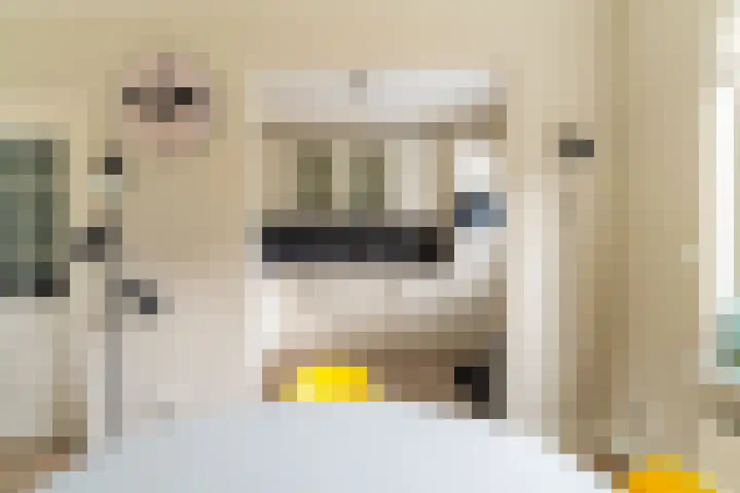 Willem de Zwijgerstraat 3 Sprang-Capelle thumbnail 14