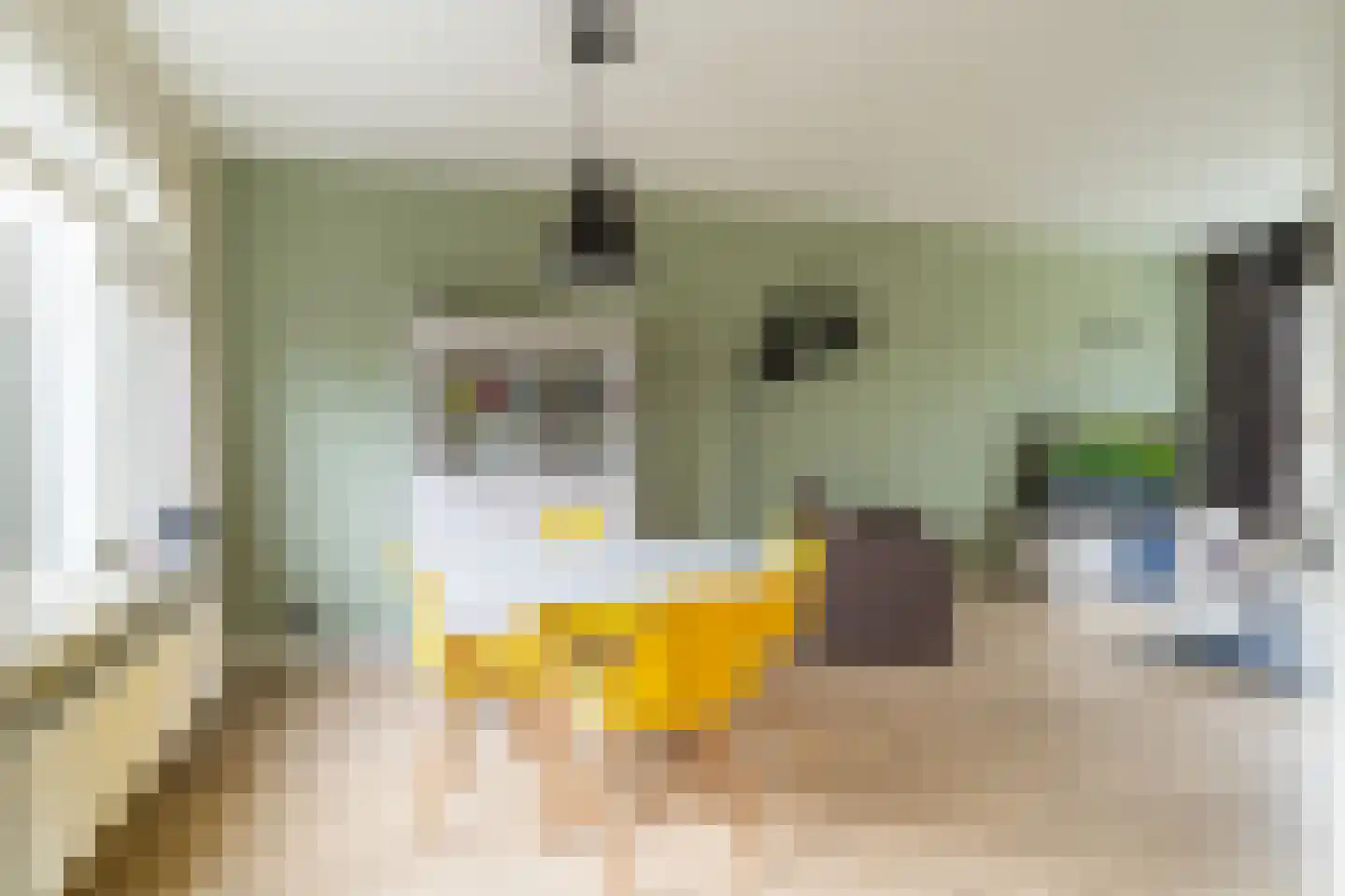 Willem de Zwijgerstraat 3 Sprang-Capelle thumbnail 15