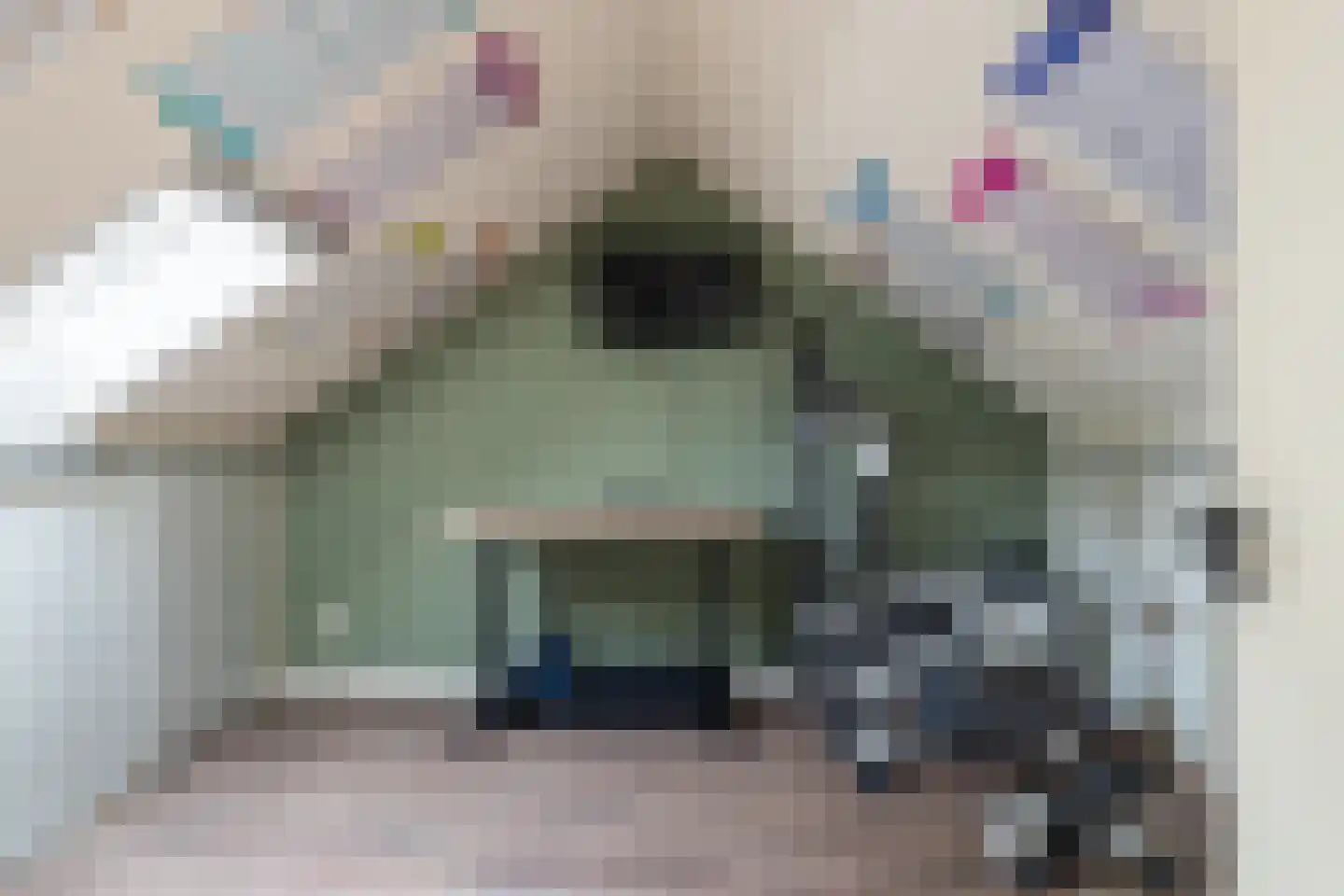 Willem de Zwijgerstraat 3 Sprang-Capelle thumbnail 29