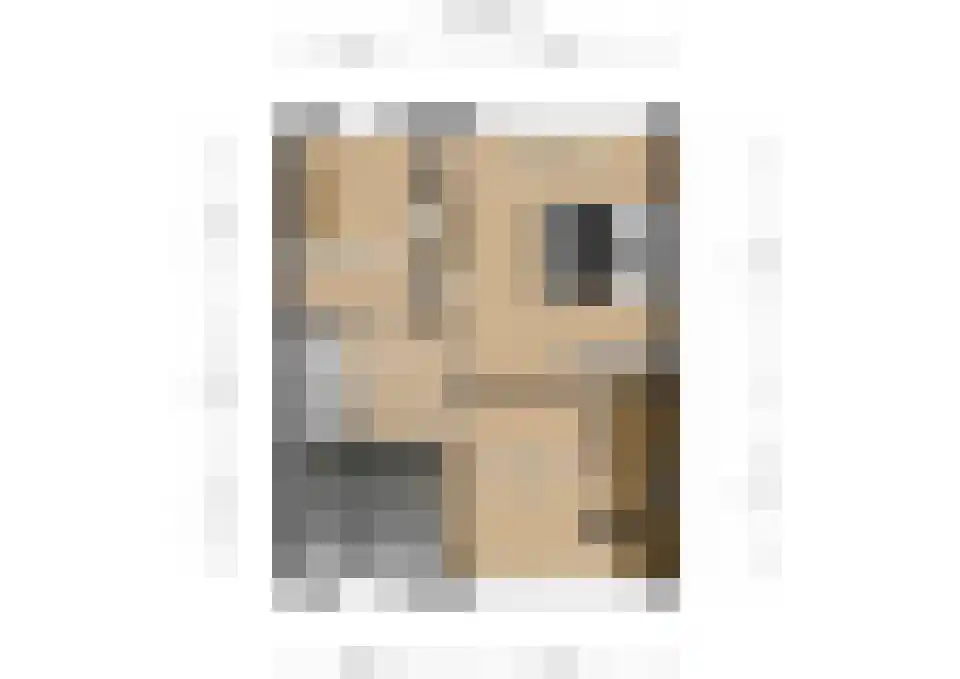 Willem de Zwijgerstraat 3 Sprang-Capelle thumbnail 32